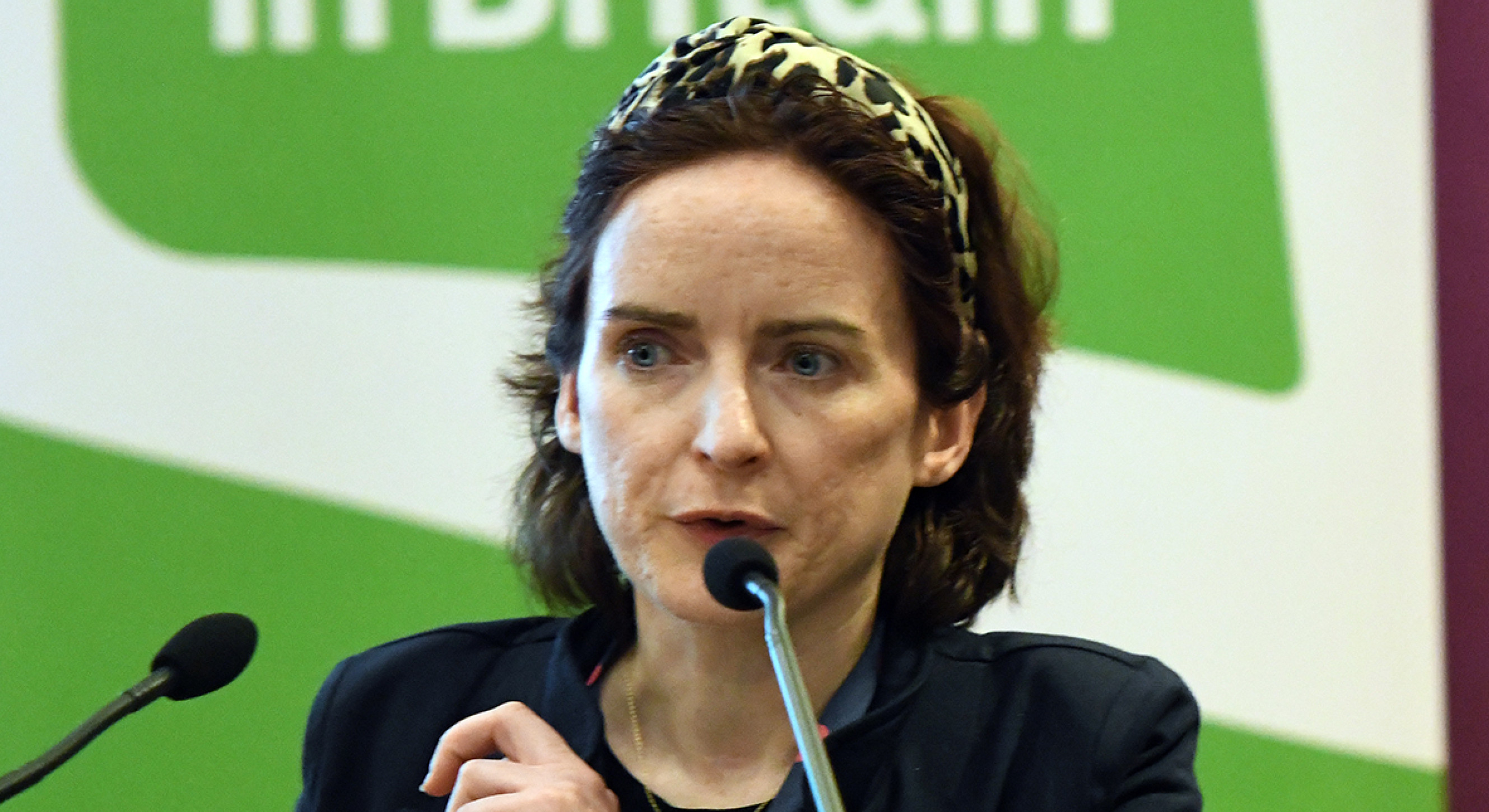 Frances Harkin, Irish in Britain Trustee